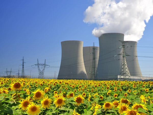 Robotic BWR Torus Inspection